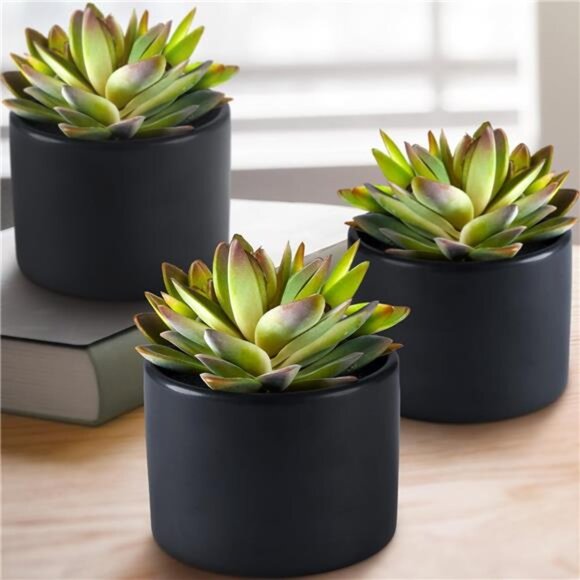 Succulents Artificial Succulents in Ceramic Pots(3 Set)Beautiful Fake Succulents - Picture 1 of 7